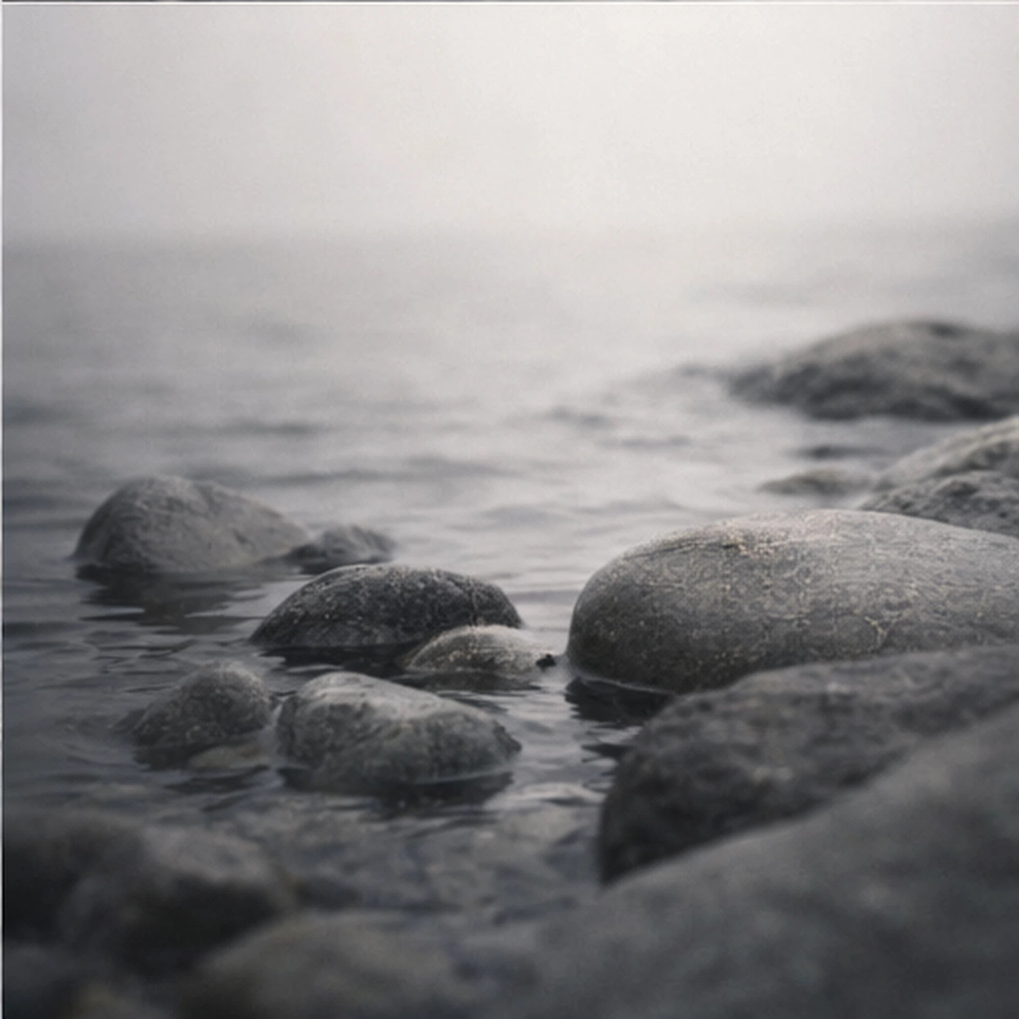 Rocks partially submerged in water with a blurred background